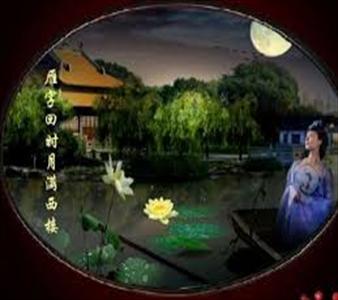 古诗词朗诵,李清照《月满西楼》,李清照,月满西楼,诗词赏析,枫韵