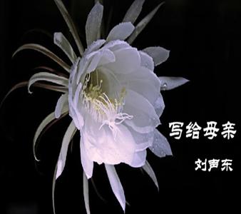美文朗读,刘声东写给母亲的祭文,玉皇大帝,   祭文     情感